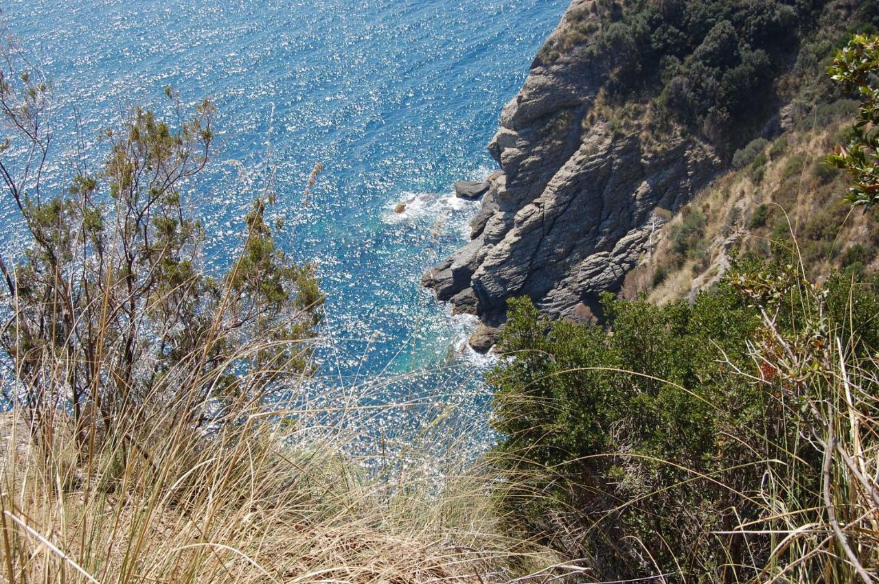Time Is You Rapallo Eksteriør bilde